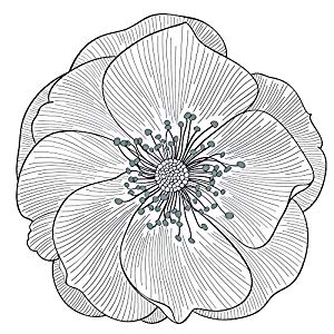 300x300 Plogit Line St026ajv5 Big Flower Ceiling Lamp Home - Big Flower Sketch