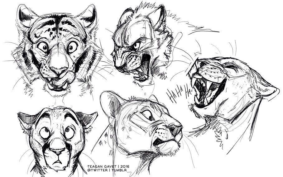 908x568 Sketches Of Big And Cute Cats. - Big Sketches