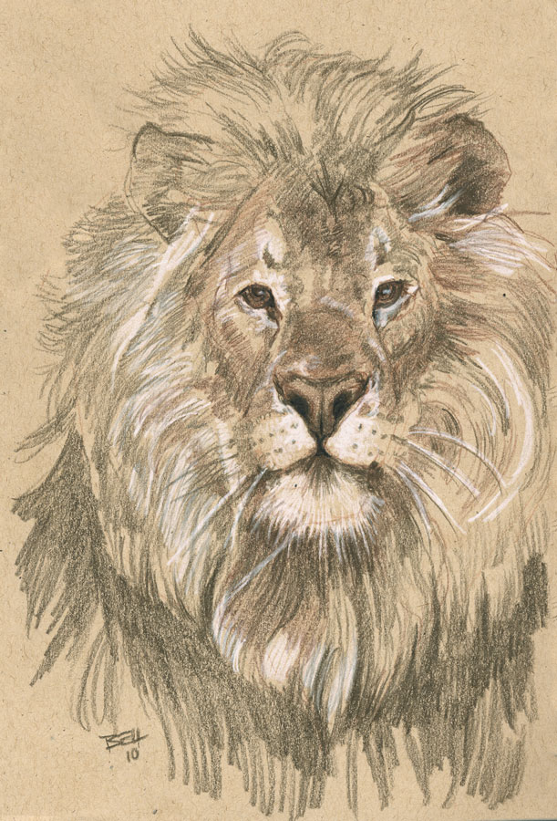 611x900 Doug Buddy More Big Cat Sketches - Big Sketches