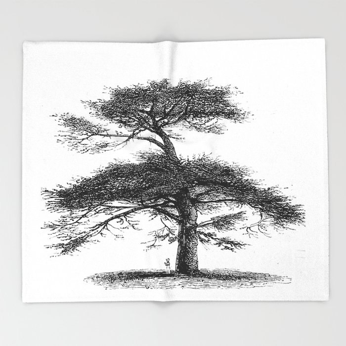 700x700 Big Tree Throw Blanket By Upopot Society6 - Big Tree Sketch
