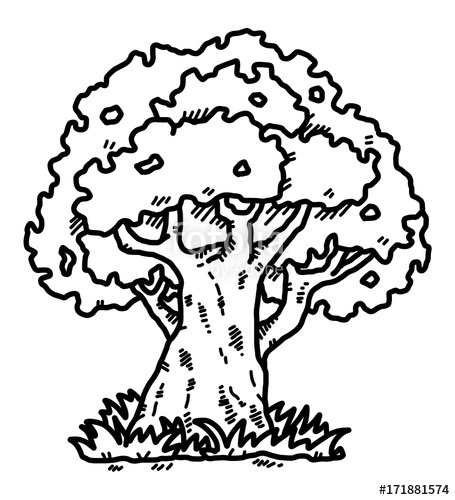 455x500 Big Tree Cartoon Vector And Illustration, Black And White, Hand - Big Tree Sketch