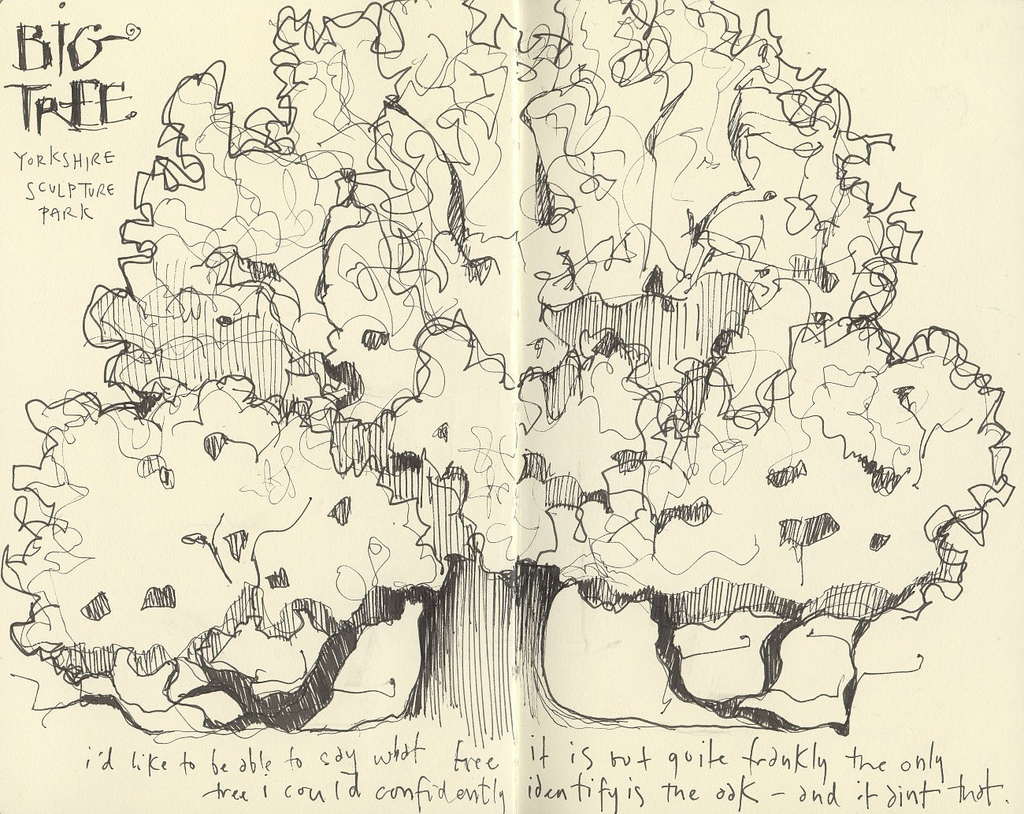 1024x814 Big Tree More Here Andrea Joseph - Big Tree Sketch