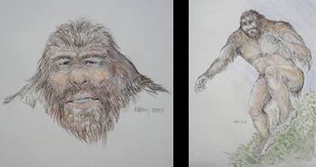 350x185 Bigfoot Research - Bigfoot Sketch