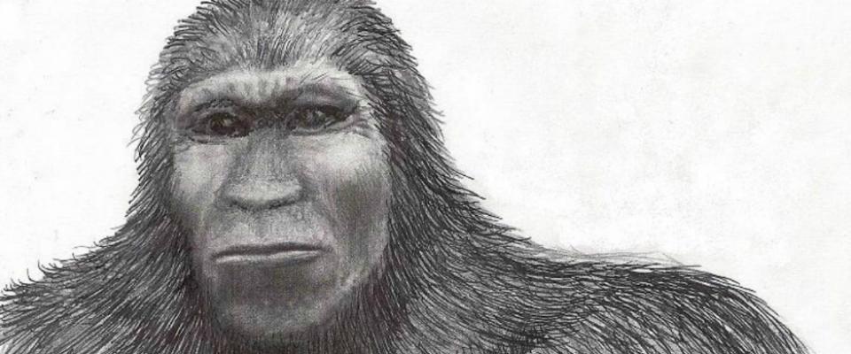 960x400 Bigfoot In The Adirondacks Saranac Lake, Adirondacks - Bigfoot Sketch