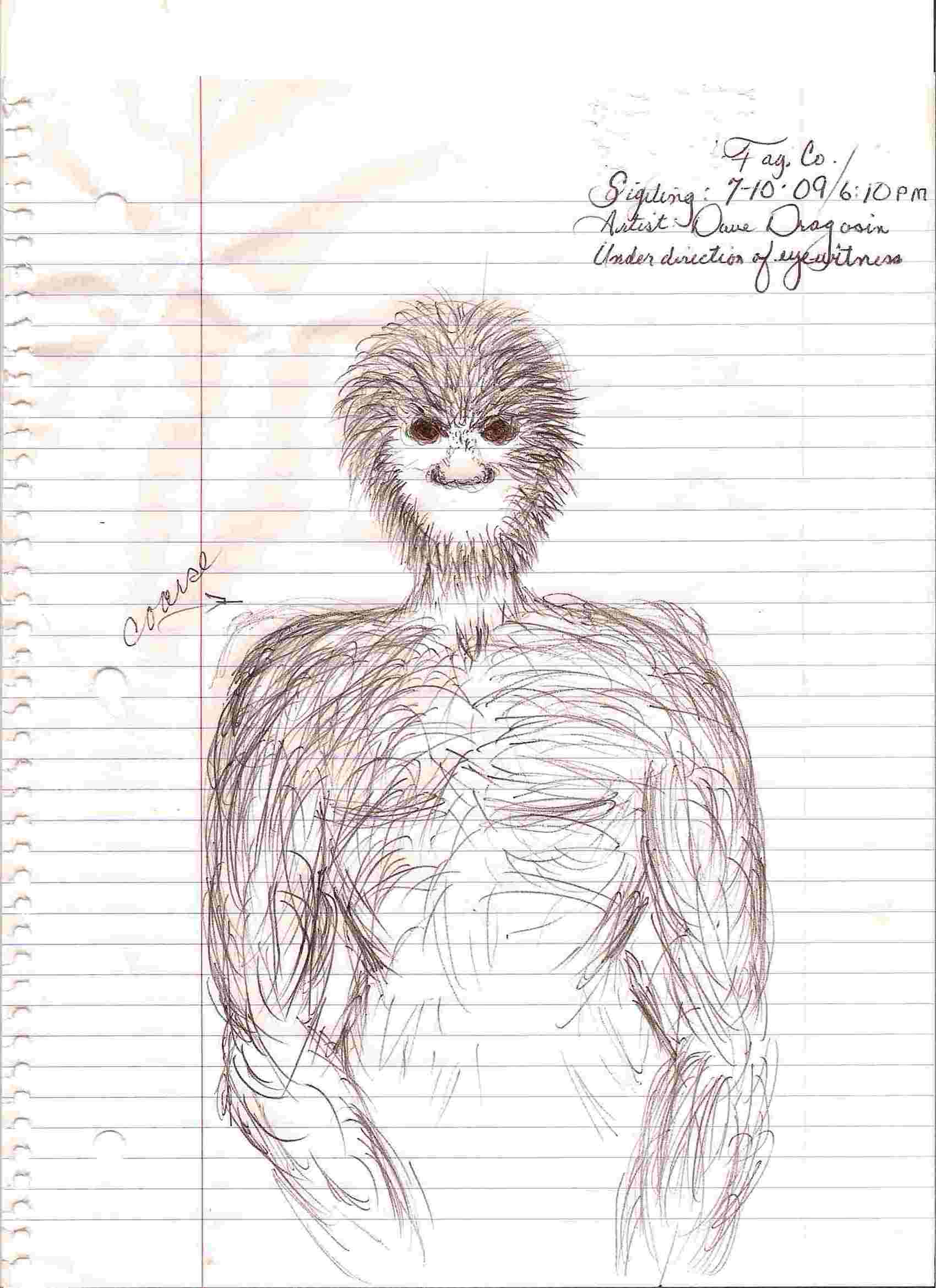 1700x2338 Cryptomundo Fayette Bigfoot Drawings - Bigfoot Sketch