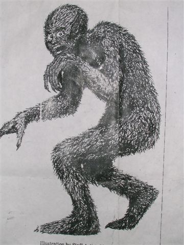 360x480 Kentucky Bigfoot Sketches - Bigfoot Sketch