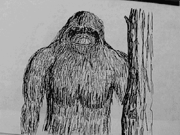 370x277 Ohio Field Research Eyewitness Sketches - Bigfoot Sketch