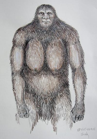 400x571 Tribal Bigfoot Hancock House Publishers - Bigfoot Sketch