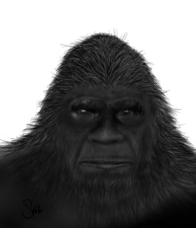 400x465 Witness Sketches - Bigfoot Sketch