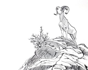340x270 Shattered Bighorn Sheep Ink Drawing Abstract Artwork Goat Etsy - Bighorn Sheep Sketch
