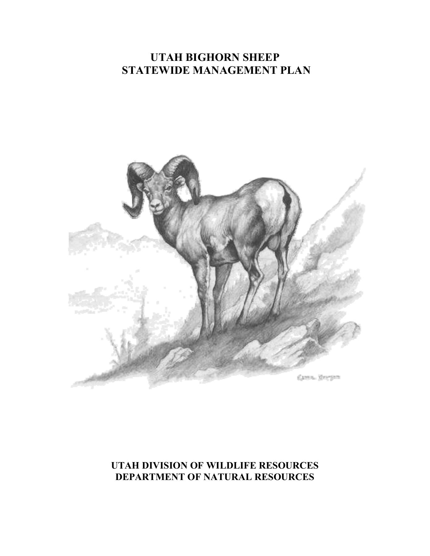 1391x1800 Utah Bighorn Sheep Statewide Management Plan - Bighorn Sheep Sketch