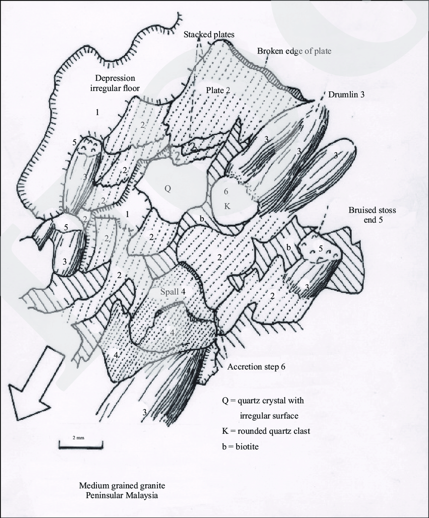 850x1026 Binocular Microscopic View Of A Fault Surface In Medium Grained - Binocular Microscope Sketch