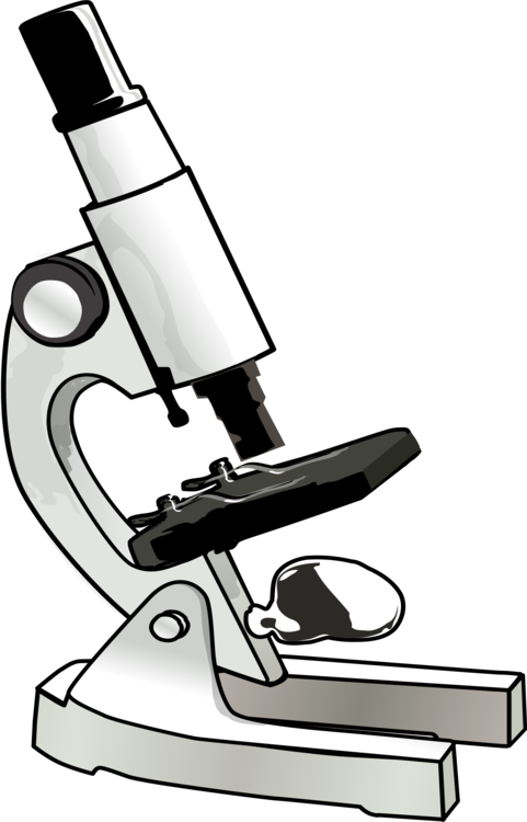 481x750 Collection Of Free Microscopes Drawing Animated. Download On Ubisafe - Binocular Microscope Sketch