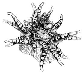 275x243 Mic Uk Drawing Life Of The Sea Shore - Binocular Microscope Sketch