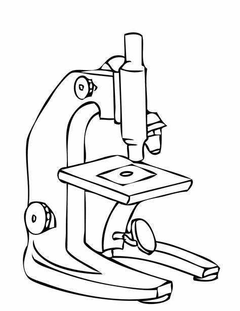 Binocular Microscope Sketch at PaintingValley.com | Explore collection ...