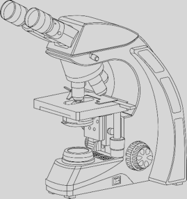 269x286 Vetscan Hdmicroscope Abaxis Uk - Binocular Microscope Sketch