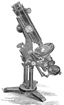 250x410 Walter H. Bulloch - Binocular Microscope Sketch