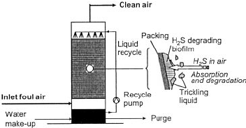 352x184 Sketch Of A Biological Trickling Filter For Air Pollution Control - Biological Sketch