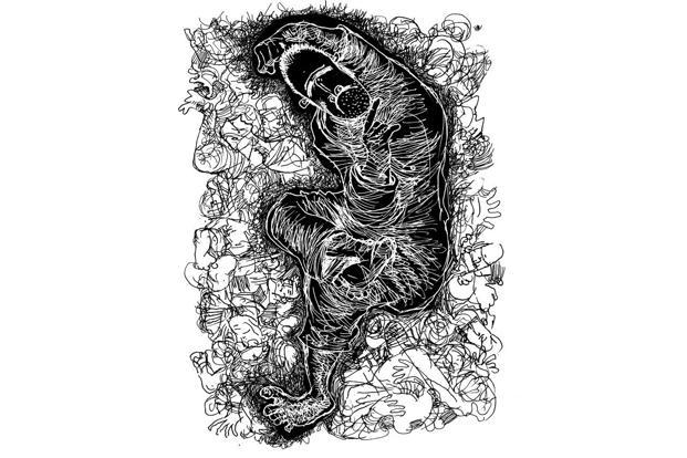 621x414 What Does It Mean To Be Bipolar - Bipolar Sketch