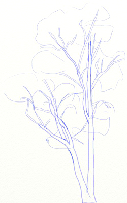 250x400 How To Draw A Birch Tree - Birch Tree Sketch