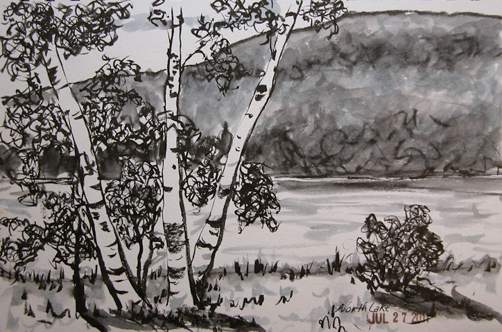 724x479 Hudson Valley Sketches Birch Trees - Birch Tree Sketch