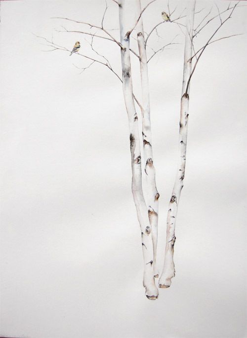 Birch Tree Sketch at Explore collection of Birch