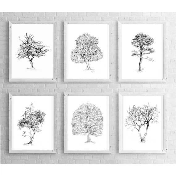 570x566 Tree Art Set Of 6 Tree Pencil Drawings Art Print Tree Etsy - Birch Tree Sketch