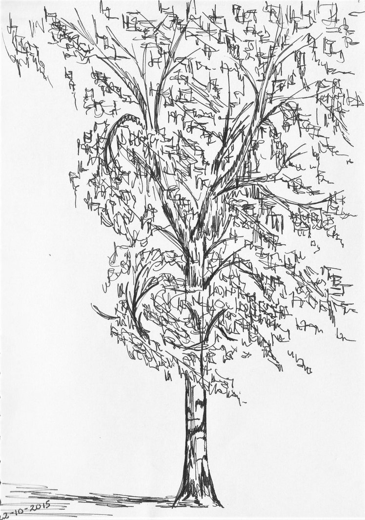748x1067 Birch Tree Sketch By Midsummerbluebird - Birch Tree Sketch
