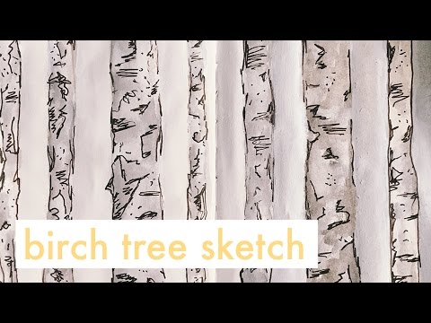 480x360 Birch Tree Watercolor Sketch Speed Painting - Birch Tree Sketch