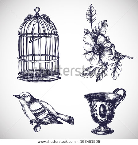 Bird Cage Sketch