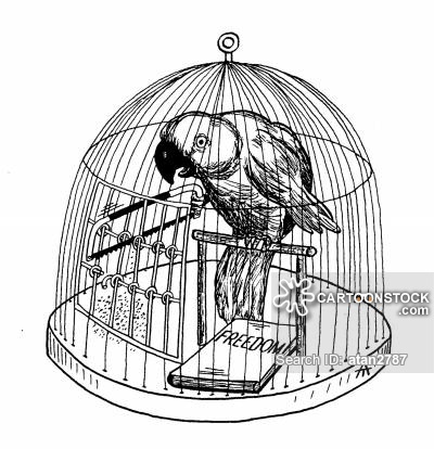 400x414 Bird Cage Cartoons And Comics - Bird Cage Sketch