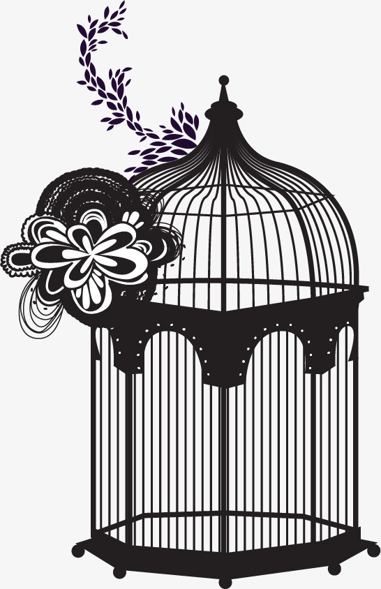 546x844 Birdcage, Sketch, Flowers Png And Vector For Free Download - Bird Cage Sketch