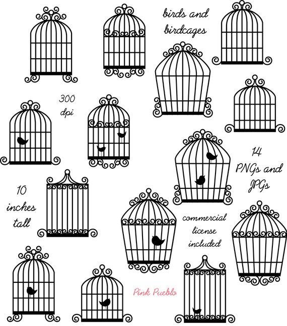 570x649 Birdcage Clipart Caged Bird - Bird Cage Sketch
