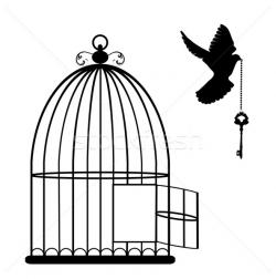 250x252 Search Results - Bird Cage Sketch