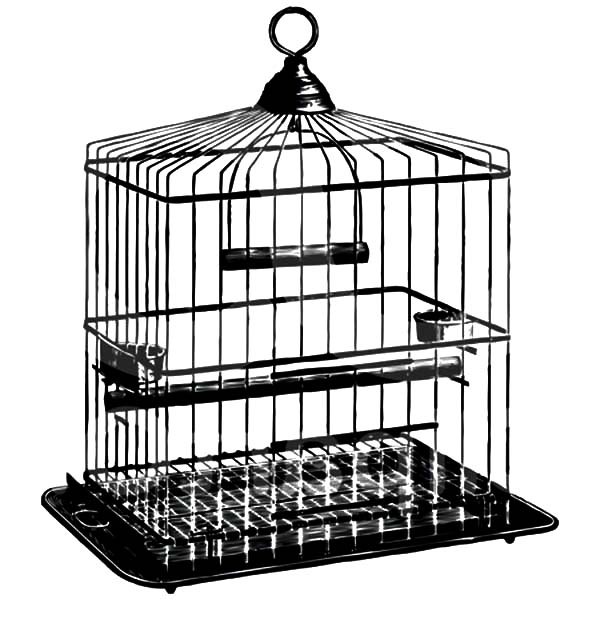 9700 Top Bird Cage Coloring Pages Pictures