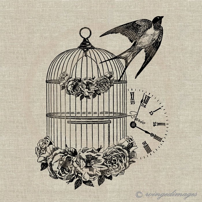 700x700 Vintage Bird Cage Sketch Image Information - Bird Cage Sketch