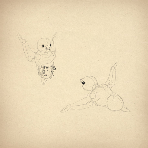 600x600 How To Draw Animals Birds, Their Anatomy And How To Draw Them - Bird Eye Sketch