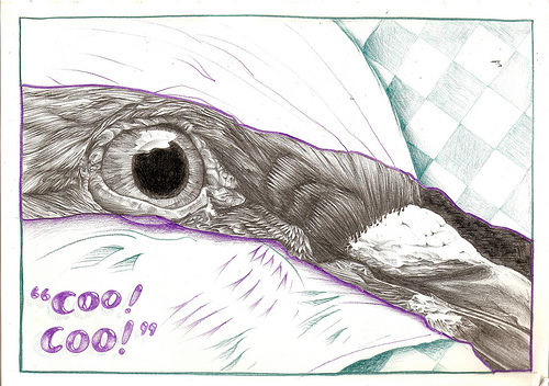 500x352 Bird Eye Sketch - Bird Eye Sketch