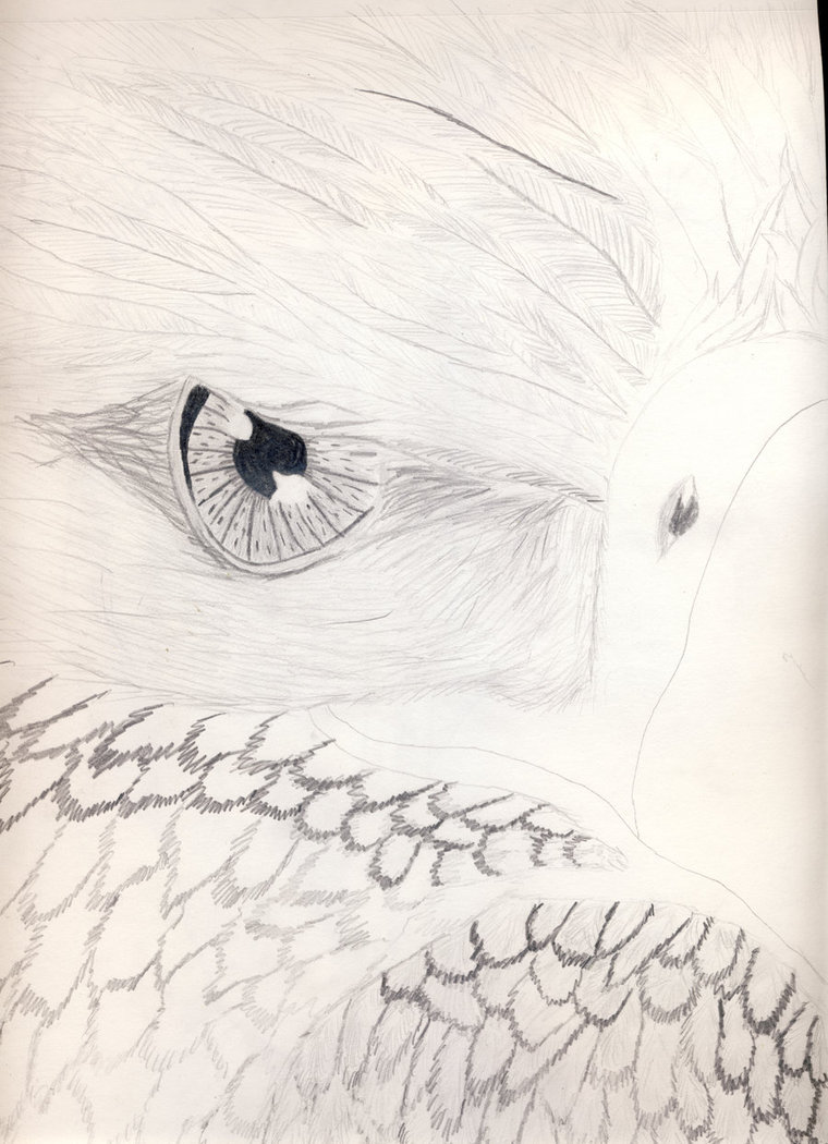 760x1050 Bird Eye Sketch By Yubtseb - Bird Eye Sketch