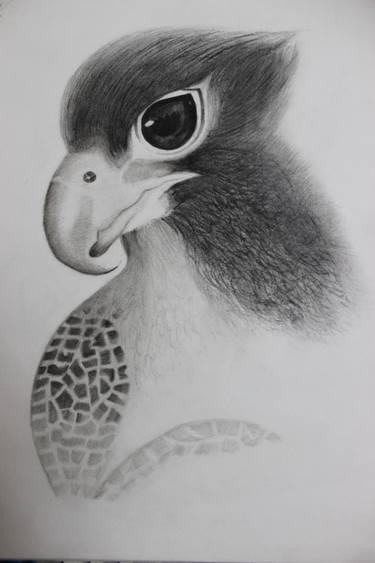 375x563 Bird Eye View Drawing By Namrata Agarwal Saatchi Art - Bird Eye Sketch