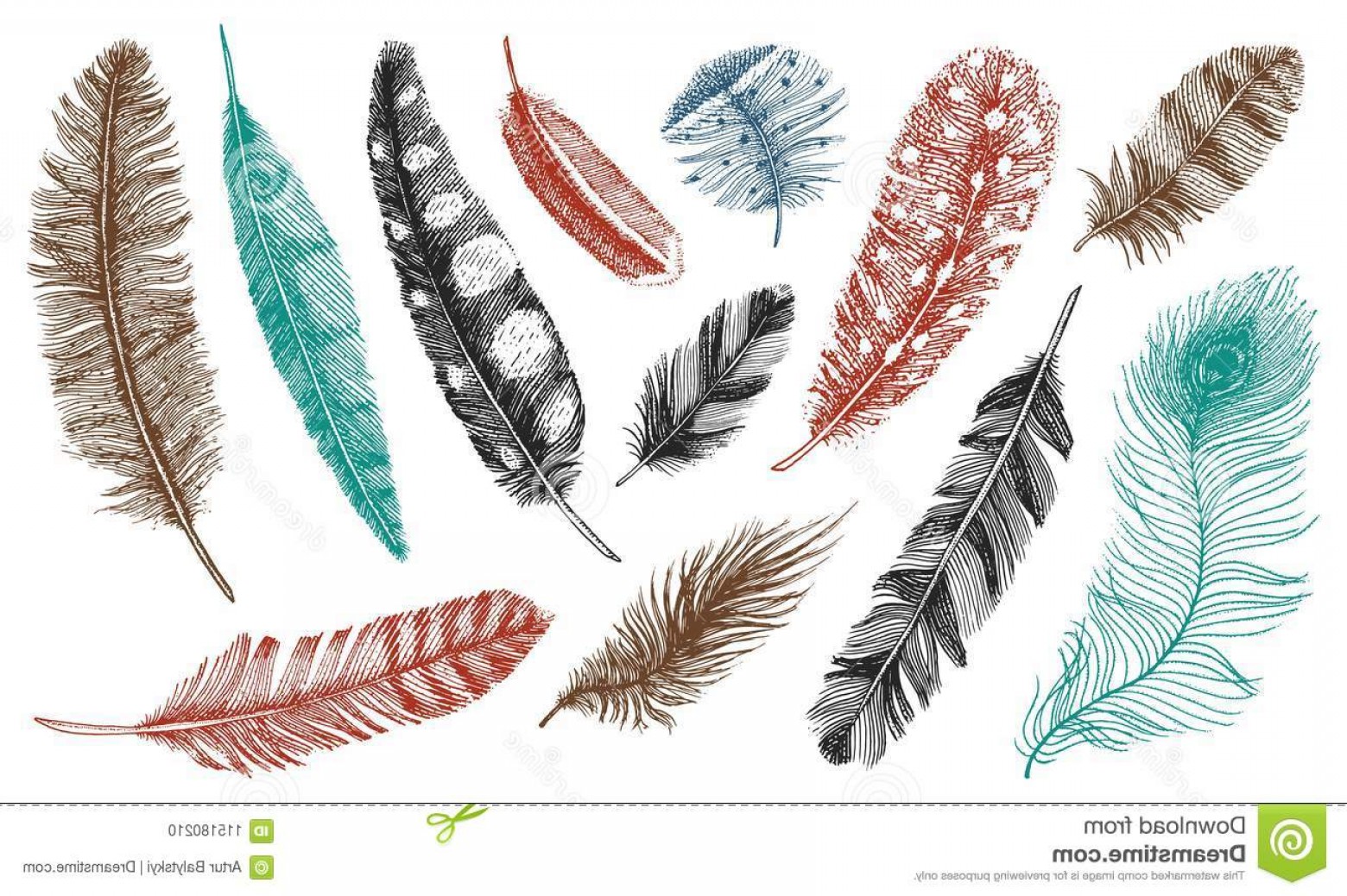 Как нарисовать перья разных птиц