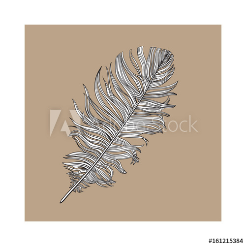 500x500 Hand Drawn Smoth Black And White Dove Bird Feather, Sketch Style - Bird Feather Sketch