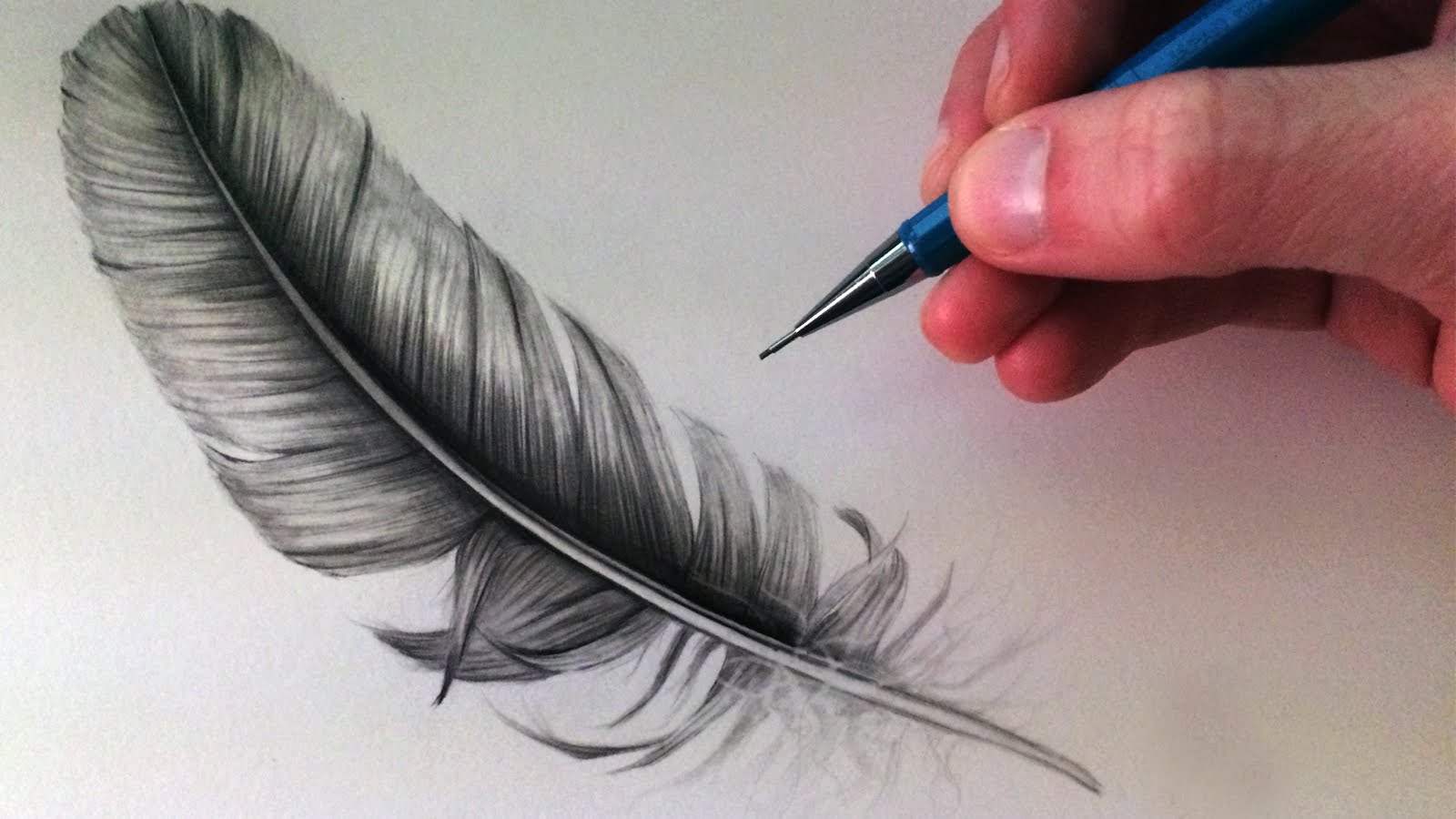 1600x900 How To Draw A Feather - Bird Feather Sketch