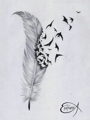 300x399 Imagen De Bird, Feather, And Drawing Tattoos - Bird Feather Sketch