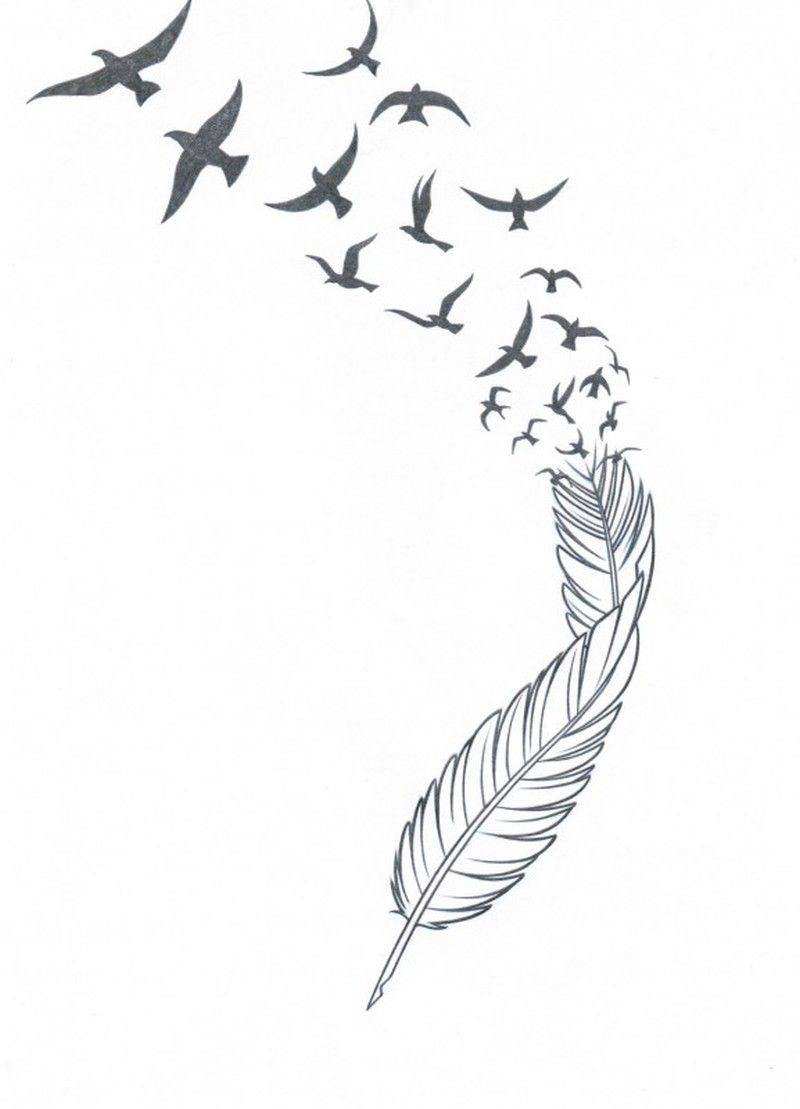 800x1109 Tattoo Drawings Bird Feather 0490196d3bbc3b02eaf82235d0b144e6 (800 - Bird Feather Sketch