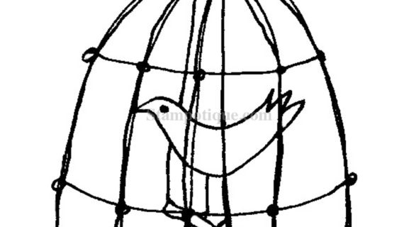 570x320 Bird In Cage Drawing Bird In A Cage - Bird In A Cage Sketch