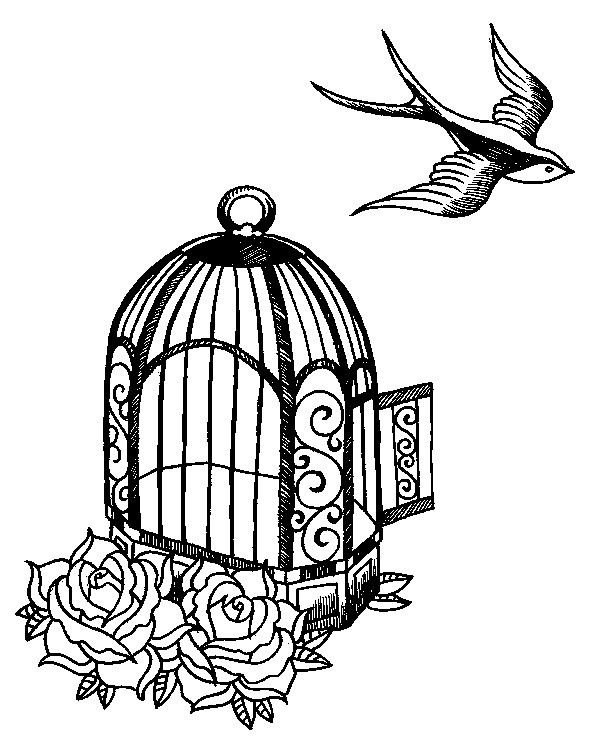 Bird In A Cage Sketch at Explore collection of