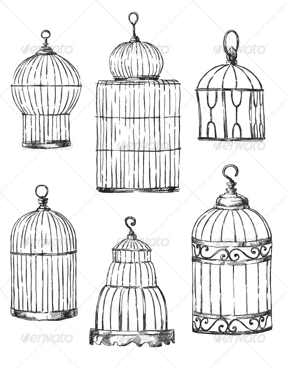 590x759 Drawn Bird Cage - Bird In A Cage Sketch