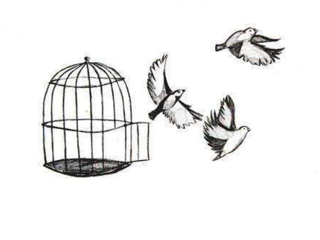 640x480 Drawn Bird Cage 10 - Bird In A Cage Sketch