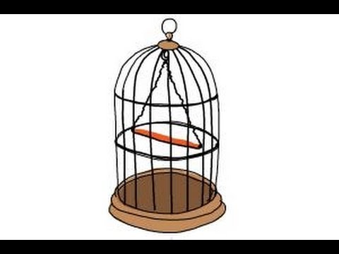 480x360 How To Draw A Bird Cage - Bird In A Cage Sketch